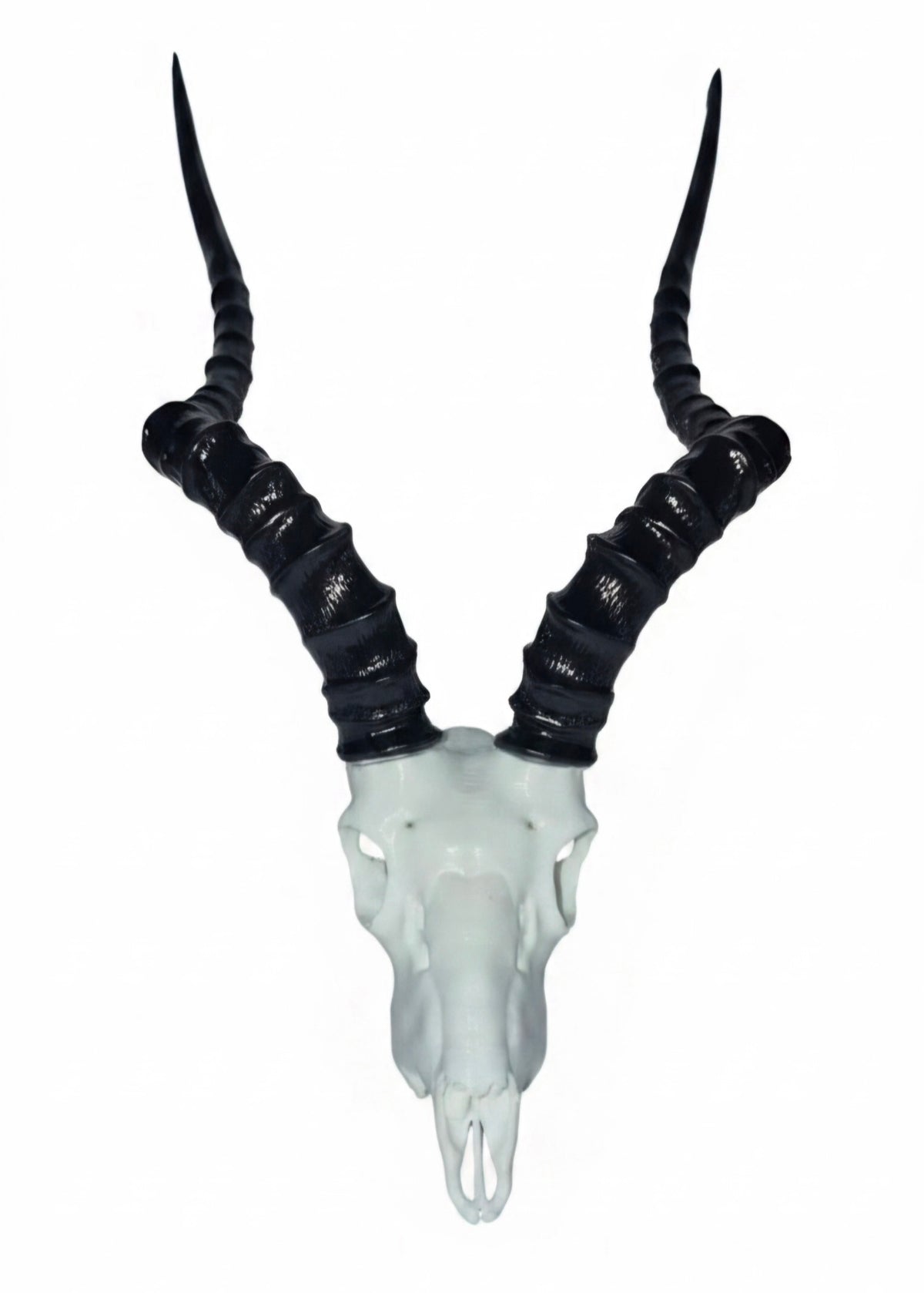 Vertex Minis: Miniature Impala Skull