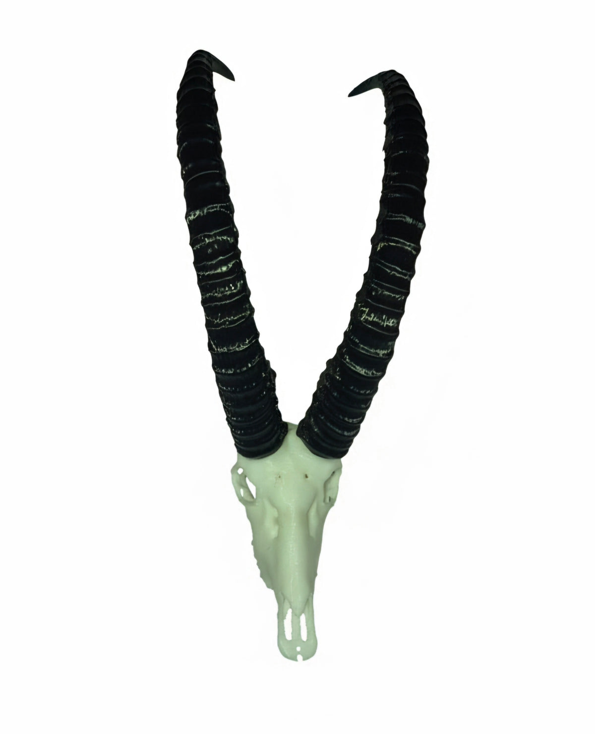 Vertex Minis: Miniature Sable Skull