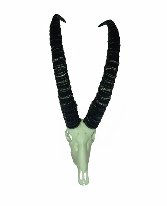 Vertex Minis: Miniature Sable Skull