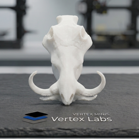 Vertex Minis: Miniature Warthog Skull