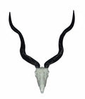 Vertex Minis: Miniature Kudu Skull