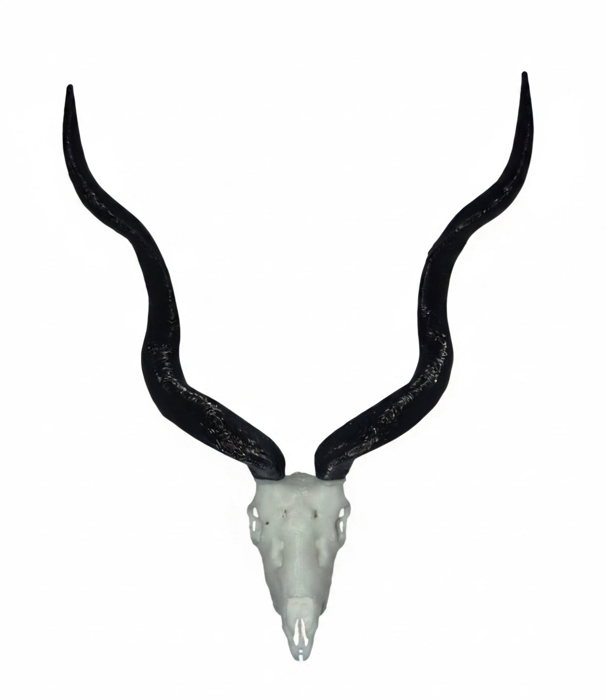 Vertex Minis: Miniature Kudu Skull