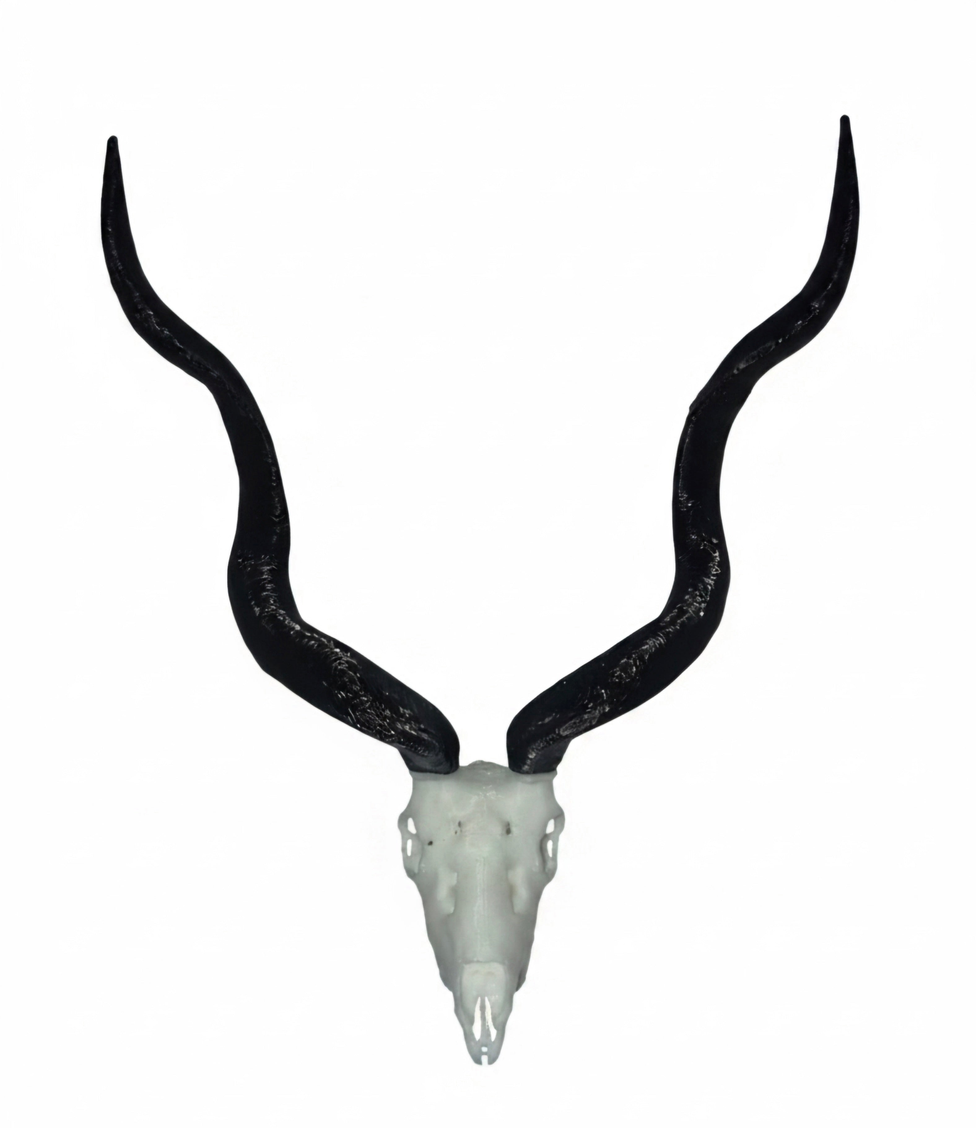 Vertex Minis: Miniature Kudu Skull
