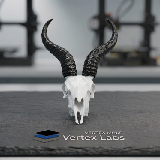 Vertex Minis: Miniature Springbok Skull